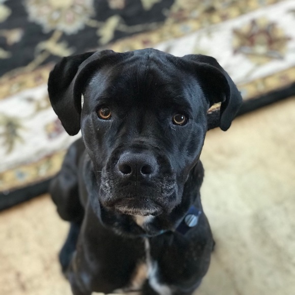 Meet your Posher, Heather - Picture 1 of 1